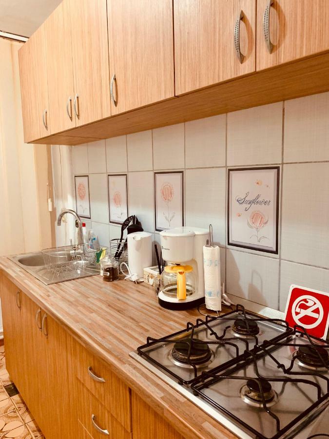 Ultracentral Apartment With All You Need: Wifi, Tv, Ac, Washer, Coffe Temesvár Kültér fotó