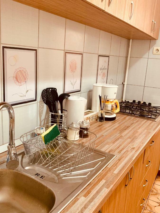 Ultracentral Apartment With All You Need: Wifi, Tv, Ac, Washer, Coffe Temesvár Kültér fotó