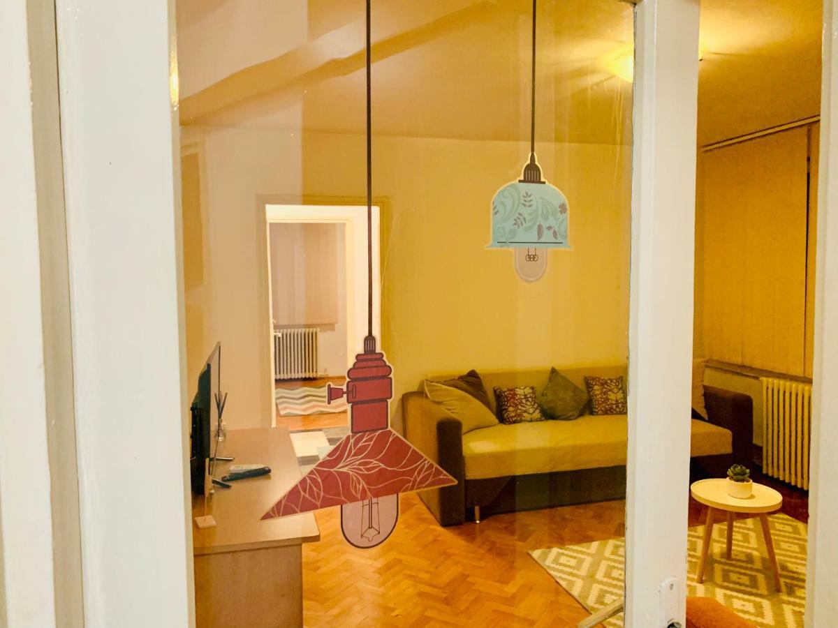 Ultracentral Apartment With All You Need: Wifi, Tv, Ac, Washer, Coffe Temesvár Kültér fotó