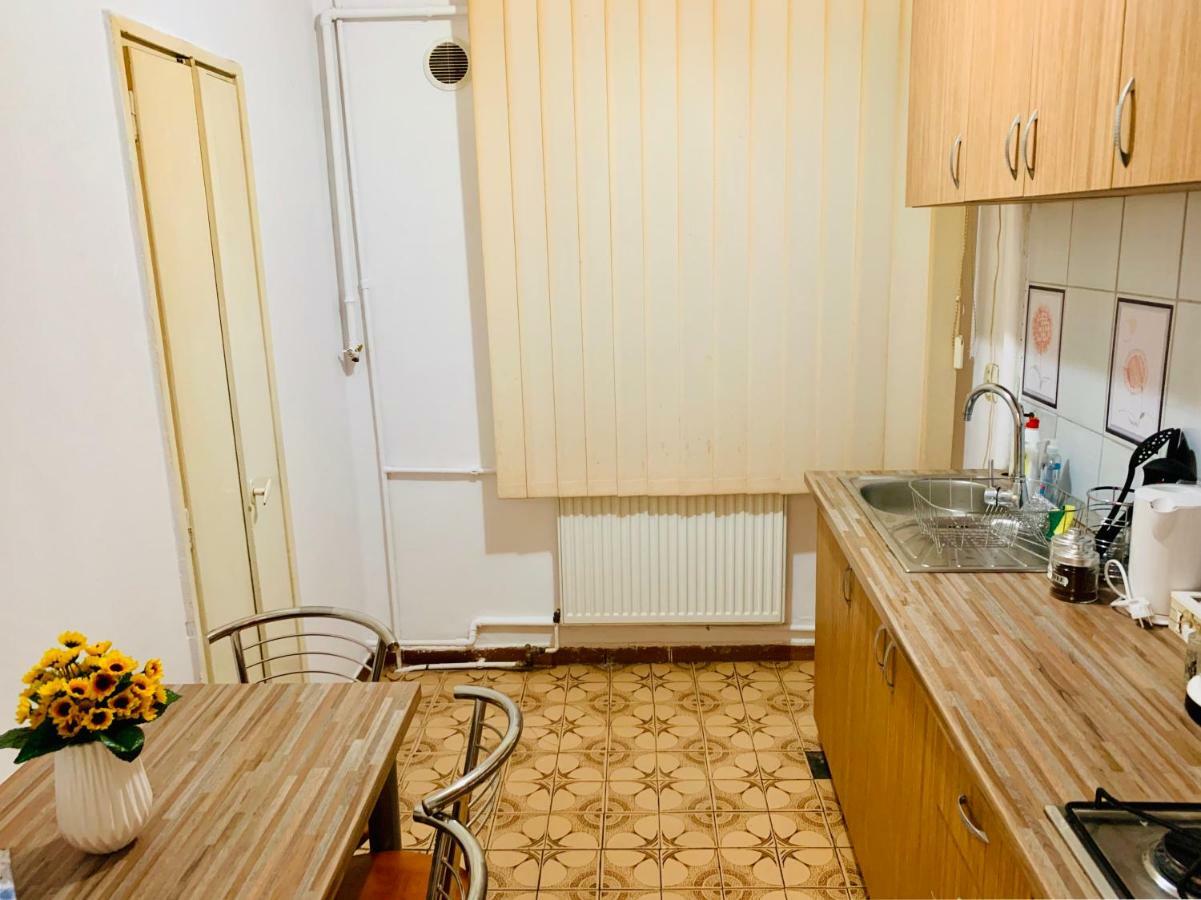 Ultracentral Apartment With All You Need: Wifi, Tv, Ac, Washer, Coffe Temesvár Kültér fotó