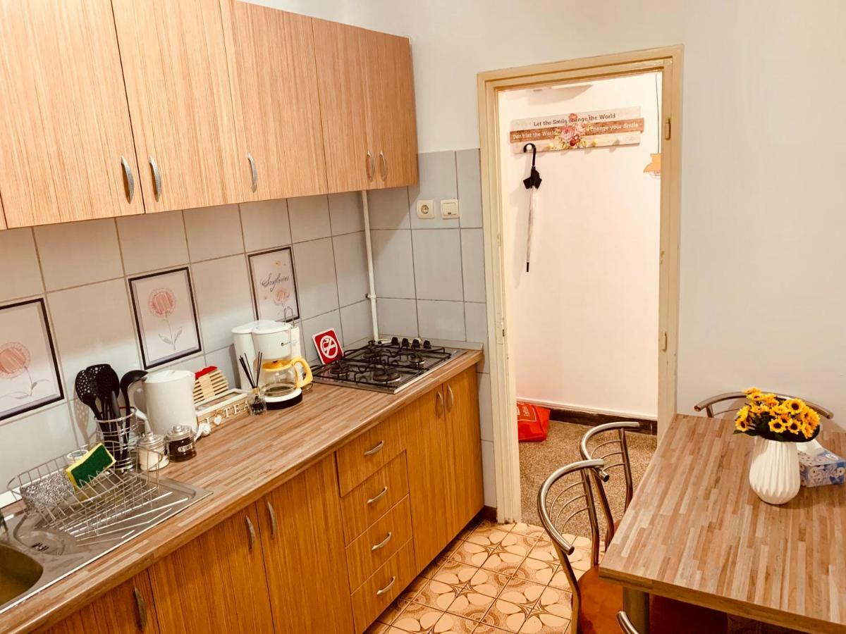 Ultracentral Apartment With All You Need: Wifi, Tv, Ac, Washer, Coffe Temesvár Kültér fotó
